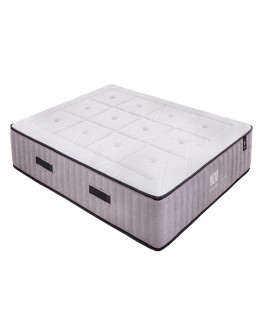 VIZIO | SOBERBIA 26 CM